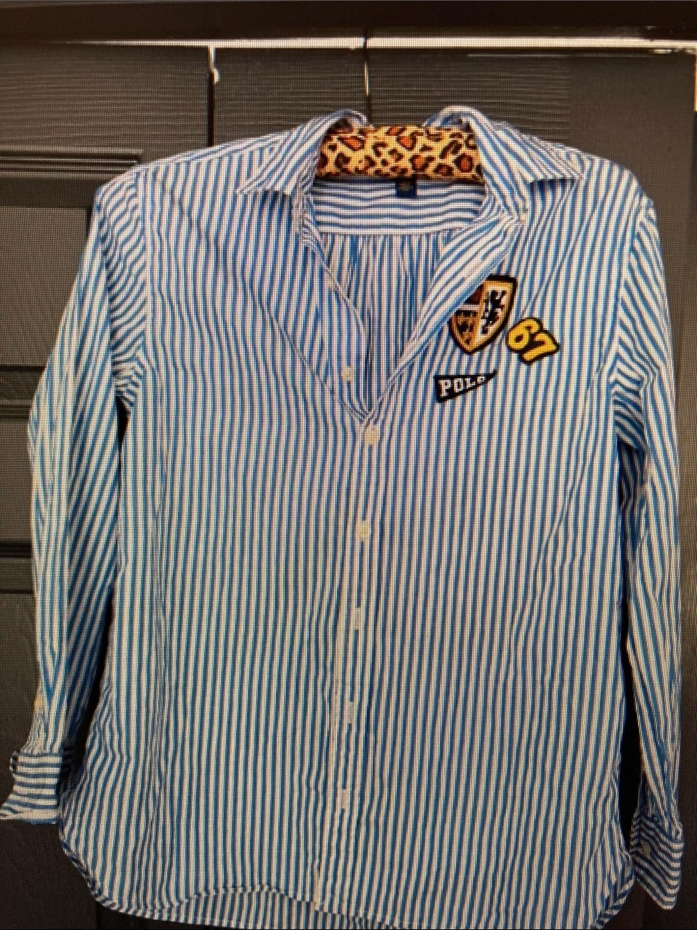 Polo by Ralph Lauren Blue & White Striped Button-Down Shirt with Crest Patch